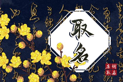 宝宝取名字 中药起名字好听的名字