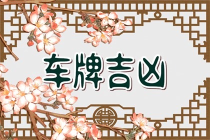 1980年属猴最佳车牌号是多少 车牌字母吉凶介绍