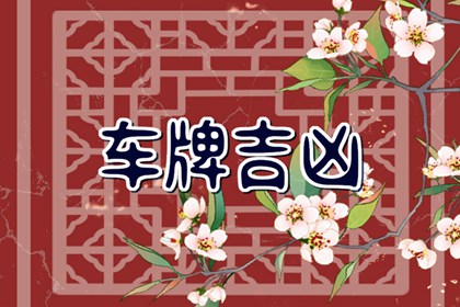 1992年属猴的车牌号吉利数字 选什么号码最好