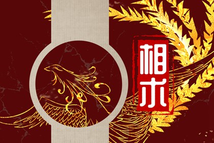 脸上痣多的人命不好 痣相图解大全