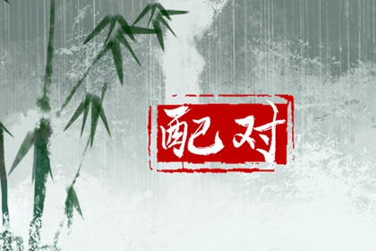 属猪的跟什么相配婚姻 与猪不合的属相