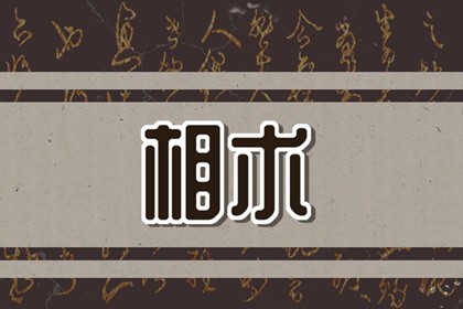 伏羲面相 伏羲面相相关解析