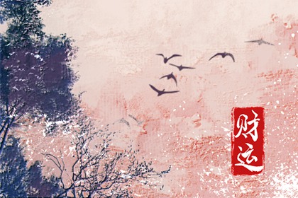 免费算卦财运一生运气 了解财运好的八字