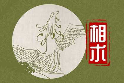 下巴宽的面相解析 下巴宽有何性格和命运
