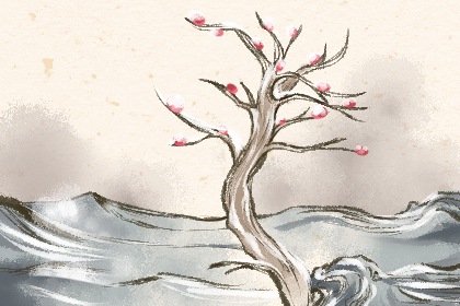 2024年入九时刻表 数九的文雅习俗