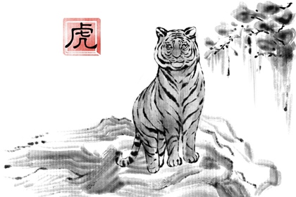 属相虎与什么相冲 会和虎人犯冲的生肖
