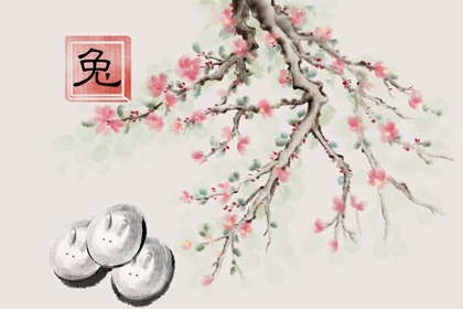 2023年农历腊月出生的宝宝是什么命 属兔人最佳出生时辰