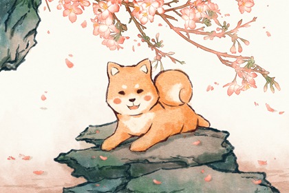 属狗出生最好六个吉日 天生命好万事顺遂