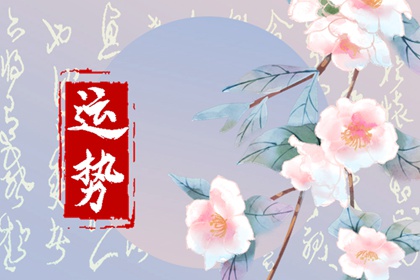 2024年生肖猪运势完整版 事业理想感情结果好