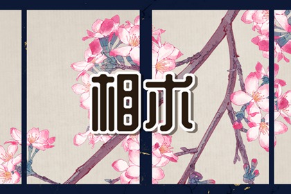 脸不对称的命好不好 左右脸不对称命运如何