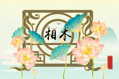 哪些面相始终拥有好运气 什么面相的人运气特别好