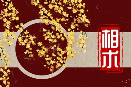 长什么面相的人天生孤寡命 天生孤寡的面相特征