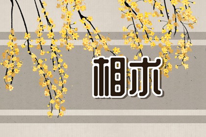 苦命人命运不好的面相特征 天生有苦命面相