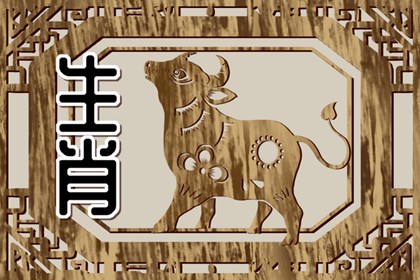 1997年属牛适合楼层 97属牛人买房禁忌