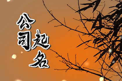 取公司名称大全创意 高端顺口公司名字大全