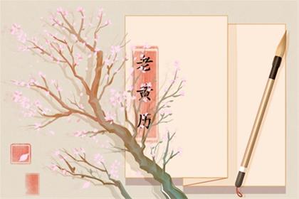 2025年11月6日是提车最佳日子么 提车好不好呢