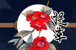 2025年11月14日在黄历上能提车吗 适合提车子么