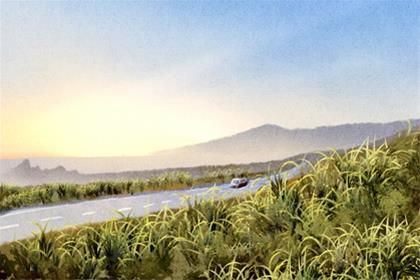 2026年4月22日能去提车吗 买车提车合适吗