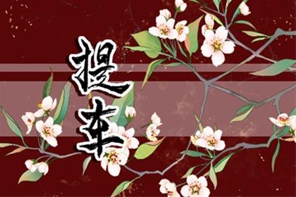 2026年7月6日去提车好吗 提车有好运势吗 2026年7月6日去提车好吗 提车有好运势吗