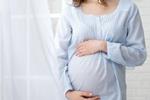 2025年清宫图生男生女表(正版) 龙年2025生男生女表