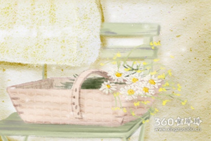 蝴蝶兰花语大全，蝴蝶兰花语汇总