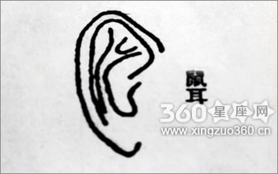 耳朵看相算命图解