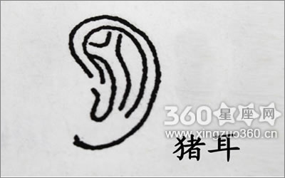 耳朵看相算命图解