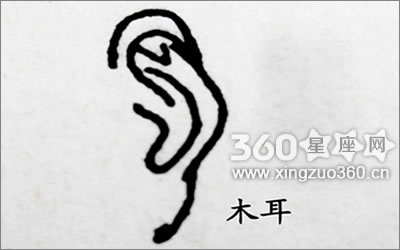 耳朵看相算命图解