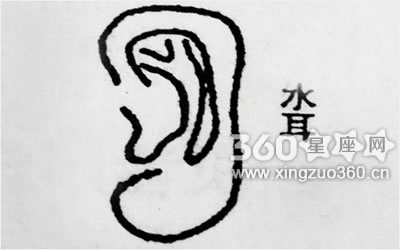 耳朵看相算命图解