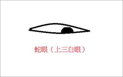 男人蛇眼面相好不好？