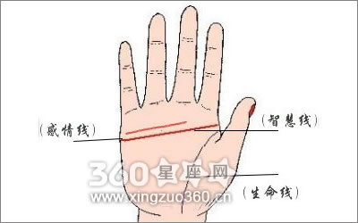 揭秘假断掌的男人的命运