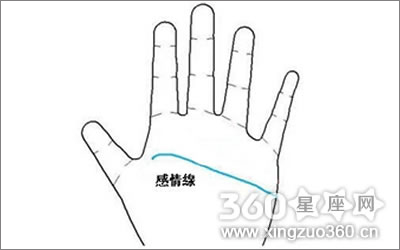 感情线型假断掌图解