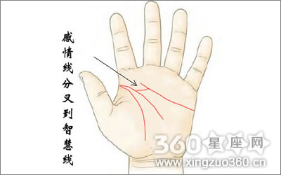 智慧线型假断掌图解