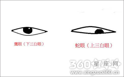 三白眼的男人是野心家？