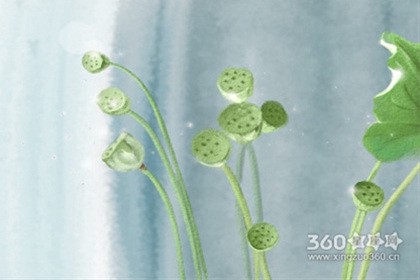 Yao叔每日星座运势【2016年2月20日】