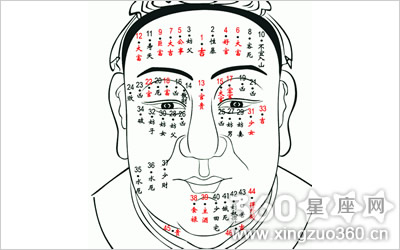 最新男人相学面相全解图