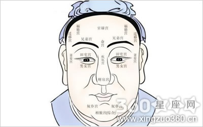 下巴型相学图解，下巴看相怎么看