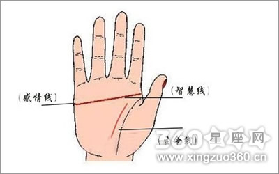 什么是假断掌纹图片欣赏3