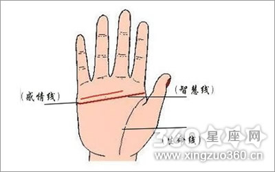 什么是假断掌纹图片欣赏