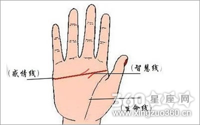 真断掌和假断掌的区别在哪儿？