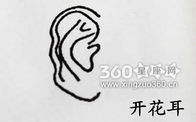 耳朵看相图片大全