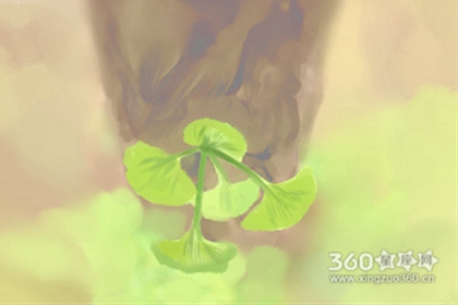 十二星座全面剖析之狮子座