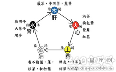 什么是人体阴阳八卦图，如何理解人体