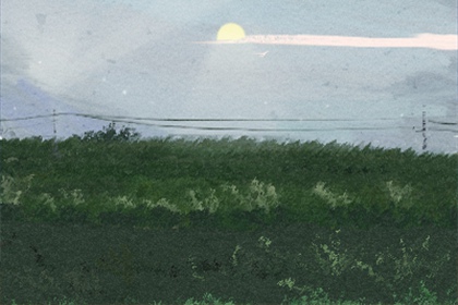 ld