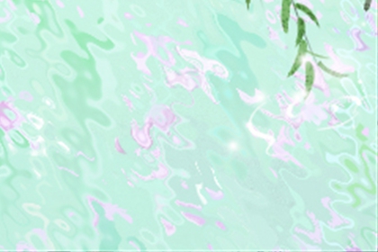 感恩节