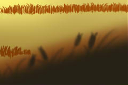 每少每日星座运势【2016年4月22日】