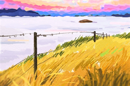 民间盲派四柱八字解析，四柱八字介绍