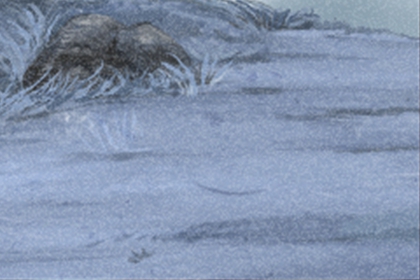 天秤座该如何选择适合的专业