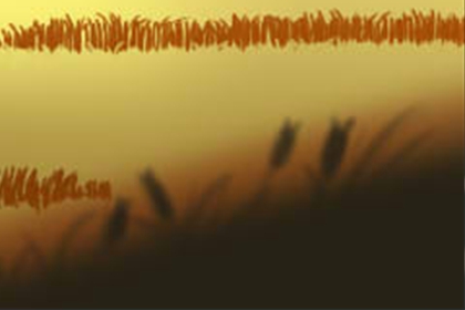 山水清澈每日星座运势【2016年5月11日】