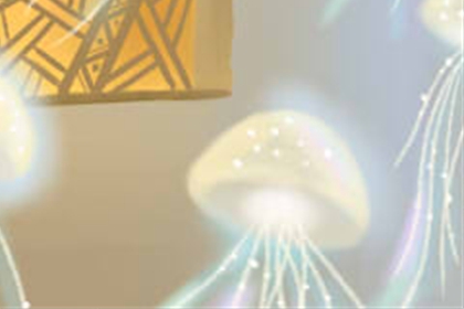 星座揭秘